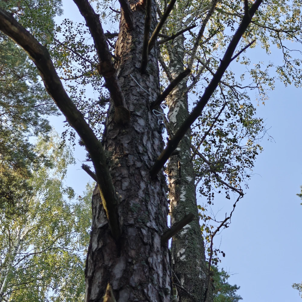 Valmis onkikätkö - Image 2